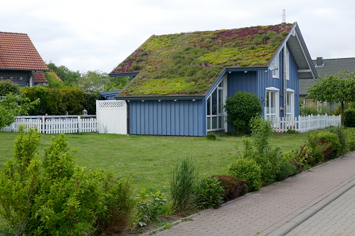Hohwacht, Schleswig-Holstein, Germany, Europe,  08/08/2019: Idyllic blue wooden house in the countryside with green plants on the roof.