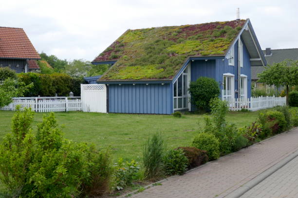 Idyllic blue wooden house in the countryside with green plants on the roof. Hohwacht, Schleswig-Holstein, Germany Hohwacht, Schleswig-Holstein, Germany, Europe,  08/08/2019: Idyllic blue wooden house in the countryside with green plants on the roof. europa mythological character photos stock pictures, royalty-free photos & images