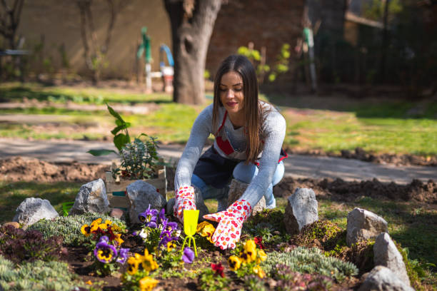 молодая женщина, работающая в саду - flower bed spring flower tree стоковые фото и изображения