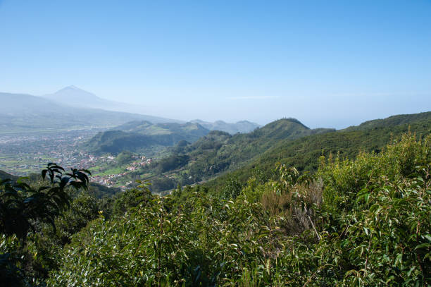 istock Anaga mountains , Tenerife , Spain 1203948892