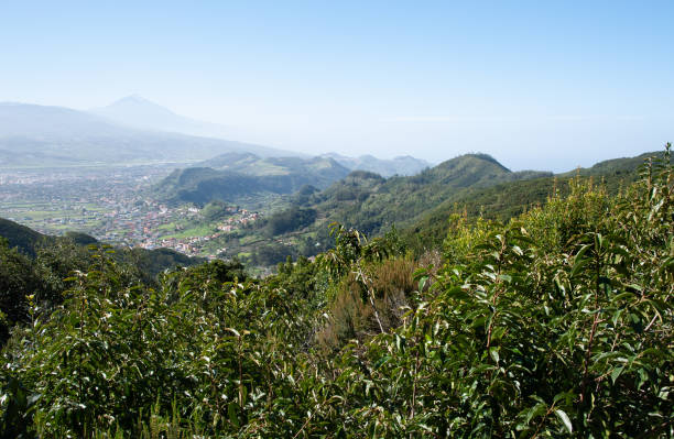 istock Anaga mountains , Tenerife , Spain 1203949605