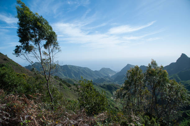 istock Anaga mountains , Tenerife , Spain 1203949609