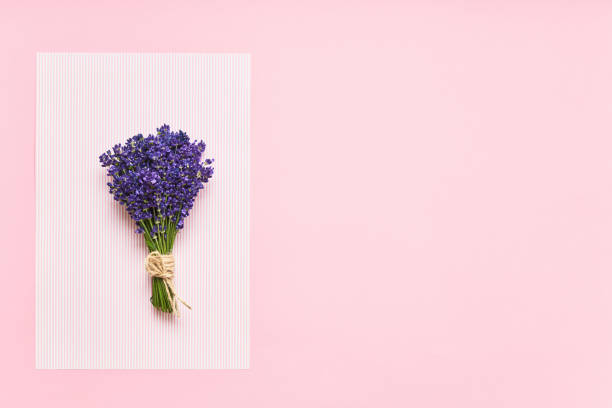 istock Bunch of lavender flowers on a pink background. Top view, copy space. 1203949632