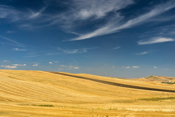 Rural landscape near Genzano di Lucania, Potenza, Basilicata, Southern Italy, at summer.