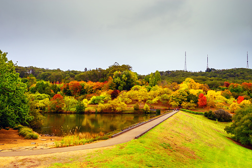 Colourful Australian autumn in Mount Lofty botanic garden, Crafers, South Australia
