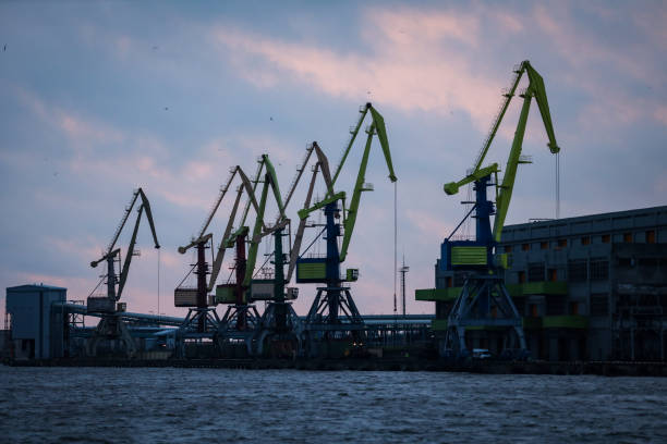 istock Port view of multiple big shipping cargo cranes. 1203955896