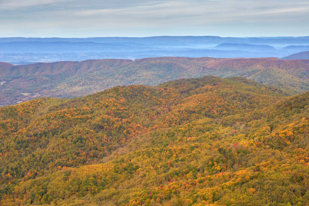 istock Blue Ridge and Allegheny Mountains in Virginia 1203956358