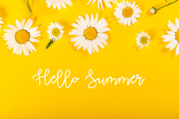 istock Floral camomile pattern on bright yellow background 1203956937