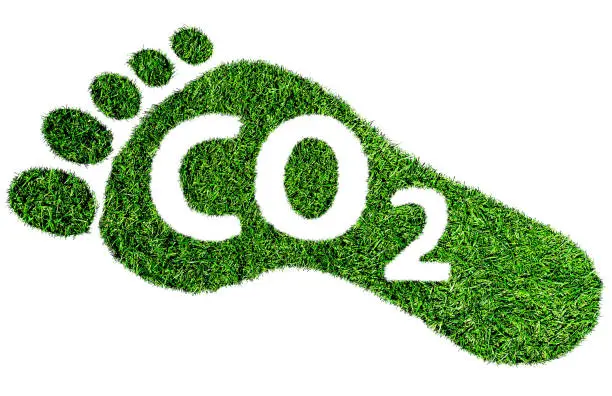 Photo of carbon footprint symbol, barefoot footprint made of lush green grass with text CO2