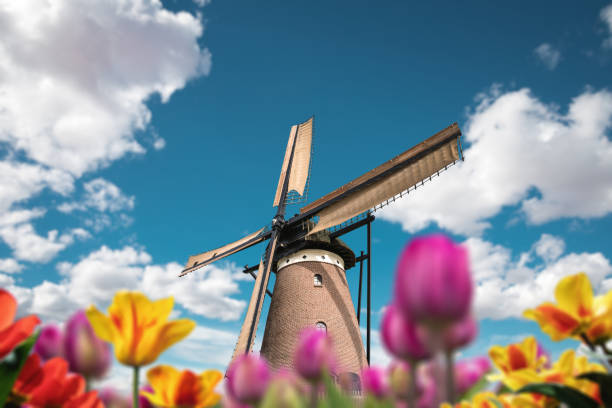 네덜란드의 풍차 - tranquil scene windmill netherlands dutch culture 뉴스 사진 이미지