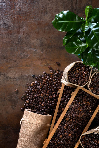 istock Wooden containers filled with cofee beans 1203961981