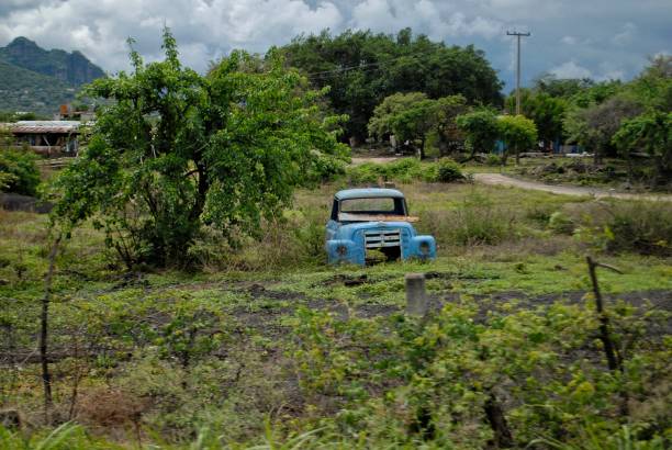 Nature mexico car blue