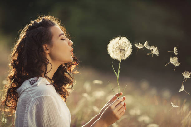 美しい若い女性は、夏の夕日の小麦畑でタンポポを吹き�ます。ビューティーサマーコンセプト - dandelion ストックフォトと画像