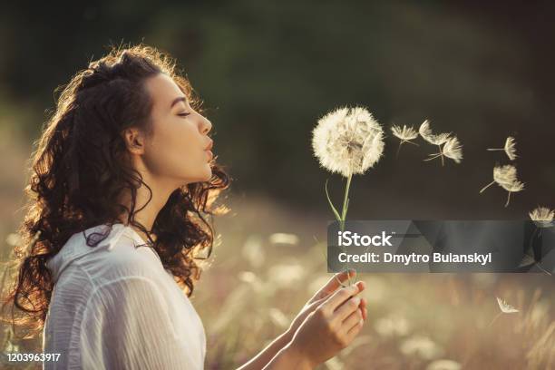 Mooie Jonge Vrouw Blaast Paardebloem In Een Gebied Van De Tarwe In De Zonsondergang Van De Zomer Beauty Summer Concept Stockfoto en meer beelden van Alleen één vrouw