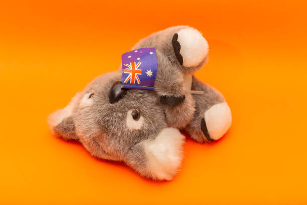 Toy Koala - pray for Australia