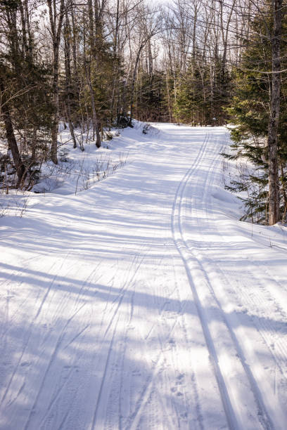 Cross country ski trail Well-skied nordic ski trail going through a forest in Maine. carrabassett stock pictures, royalty-free photos & images