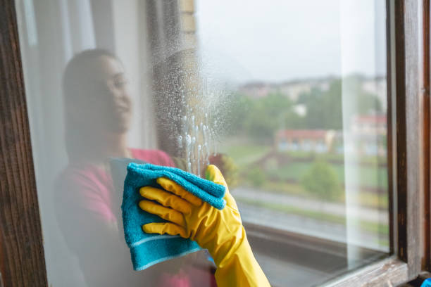istock Young woman washing window 1203965964