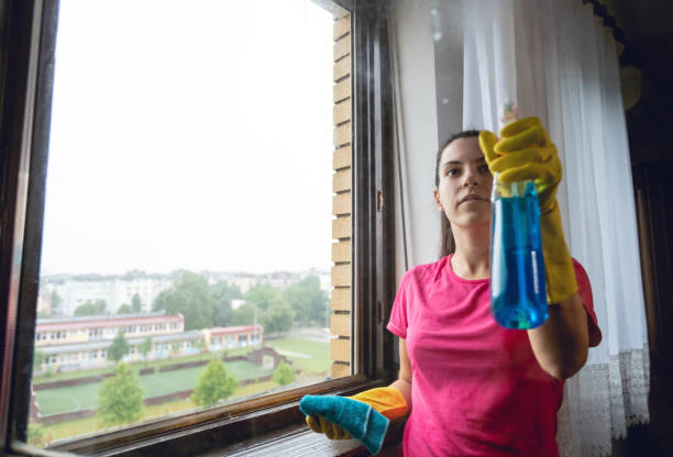 istock Woman washing windows 1203966796