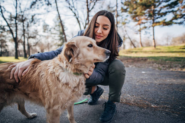 istock Girl playing with her retriever 1203966866