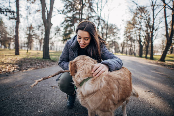 istock Girl playing with retriever and throwing stick 1203967064