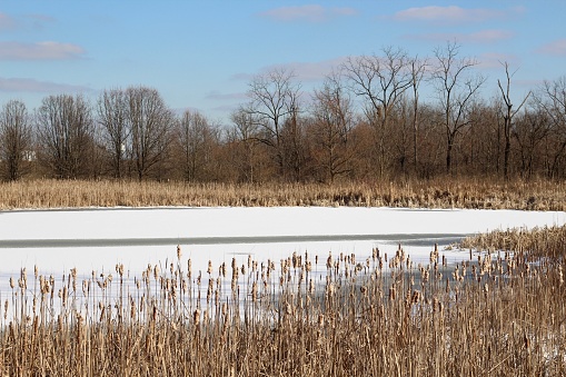 The icy frozen pond in the country on a sunny bright winter day.