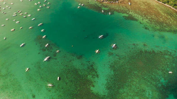 istock tourist boats in a bay with blue water 1203967708