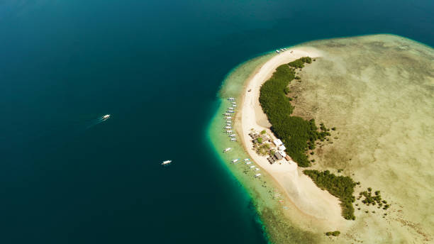 istock Tropical island with sandy beach. Palawan, Philippines 1203967773