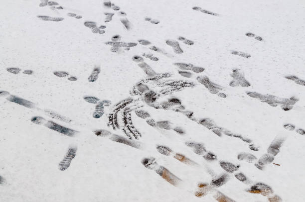 istock human footprints in the snow 1203971178