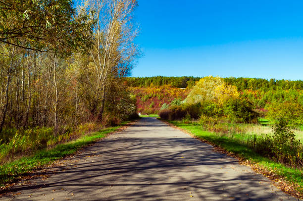 Rural road on a sunny autumn day Rural road on a sunny autumn day janowiec poland stock pictures, royalty-free photos & images