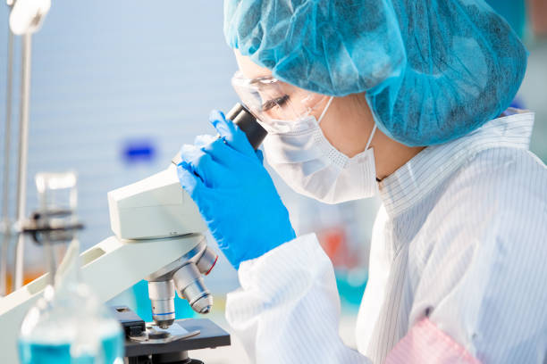 istock Food Safety Concept 1203971611