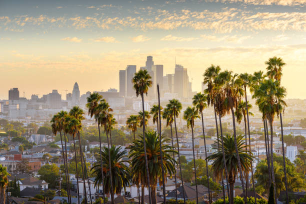 downtown los angeles at sunset - photography landscape street built structure imagens e fotografias de stock