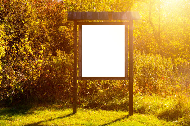 istock Blank white advertisement/annoucement board in the park. Sunny autumn day 1203971819