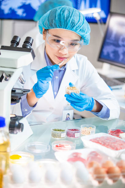 istock Food Safety Concept 1203971874