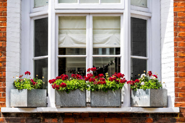 centro da cidade de londres com close-up de grande janela de baía e decorações de flores verdes vermelhas no dia ensolarado de verão e ninguém arquitetura em pimlico - janela saliente - fotografias e filmes do acervo