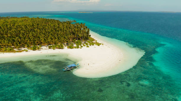 istock Tropical island with sandy beach. Balabac, Palawan, Philippines 1203972917