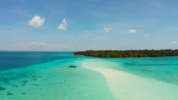 istock Sandy beach in the lagoon with turquoise water. Balabac, Palawan, Philippines 1203972986