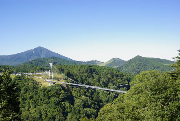 istock kokonoe Yume Otsurihashi 1203974266