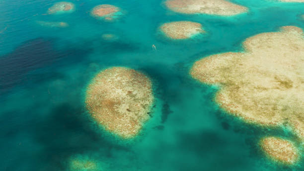 istock Transparent blue sea water in the lagoon 1203977073