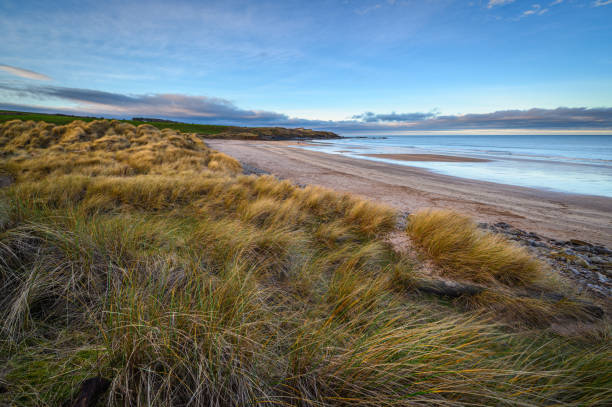 istock Cocklawburn Beach from the Dunes 1203978990