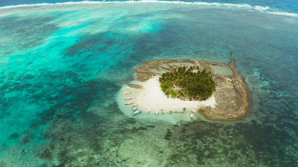 istock Tropical Daco Island with a sandy beach and tourists 1203982326