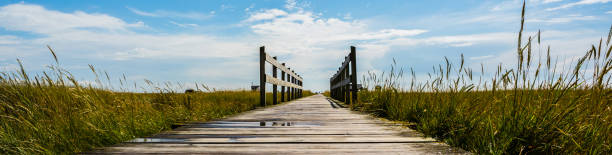 istock Panorama wooden jetty North Sea 1203982370