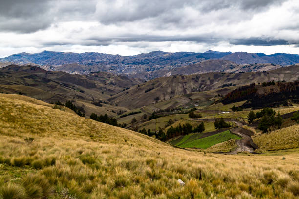 istock cultivated fields in Zumbahua 1203982440
