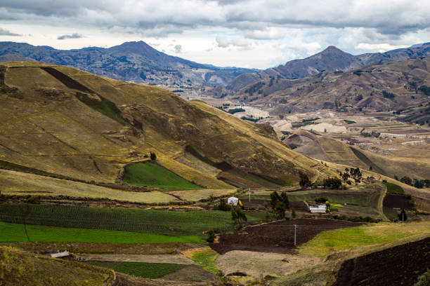 istock cultivated fields in Zumbahua 1203982594