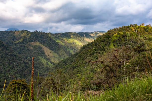 istock Foothills of the Andes 1203983684