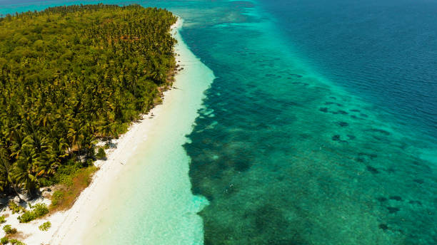 istock Tropical island with sandy beach. Balabac, Palawan, Philippines 1203984329