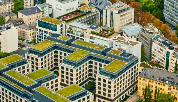 Photo of Dwellings with flat roofs covered with lawn, shot from above