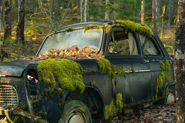 coche viejo de mossy abandonado en un bosque en suecia - rust covered fotografías e imágenes de stock