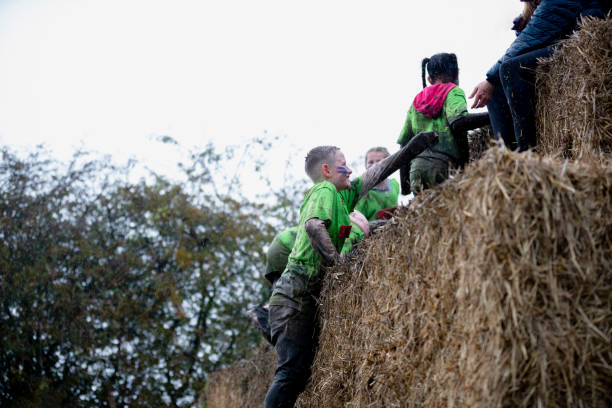 istock Climbing Up The Hay 1203986127