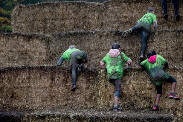 Lets Hit The Hay Team