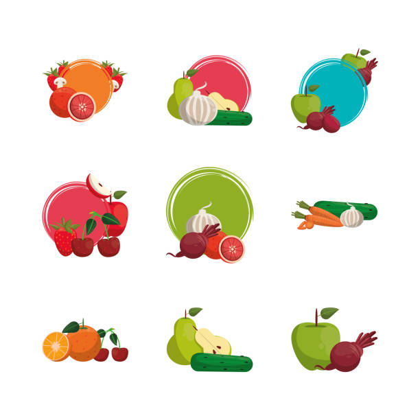 栄養健康食品のバンドル - nutritive点のイラスト素材／クリップアート素材／マンガ素材／アイコン素材